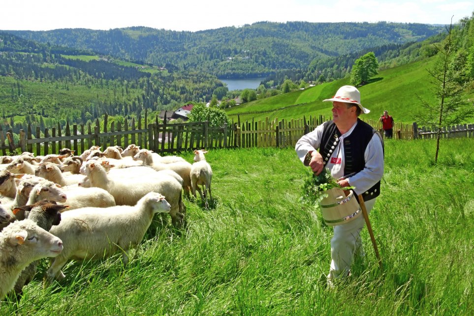 Baca Kukuczka święci owce/fot. P.Brągiel